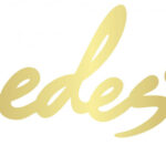 logo_nedes
